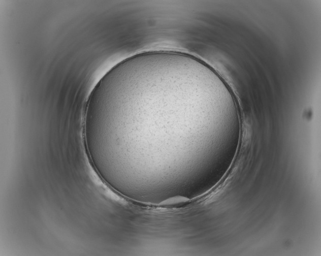 X0000089381390200706221244
