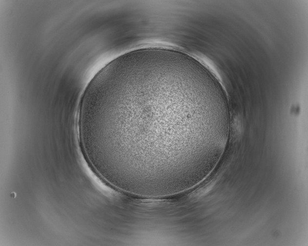 X0000089381391200706221244