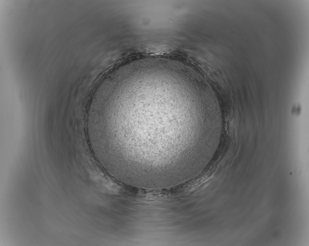 X0000089381393200706221243