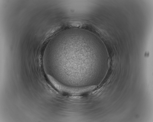X0000089381394200706221243