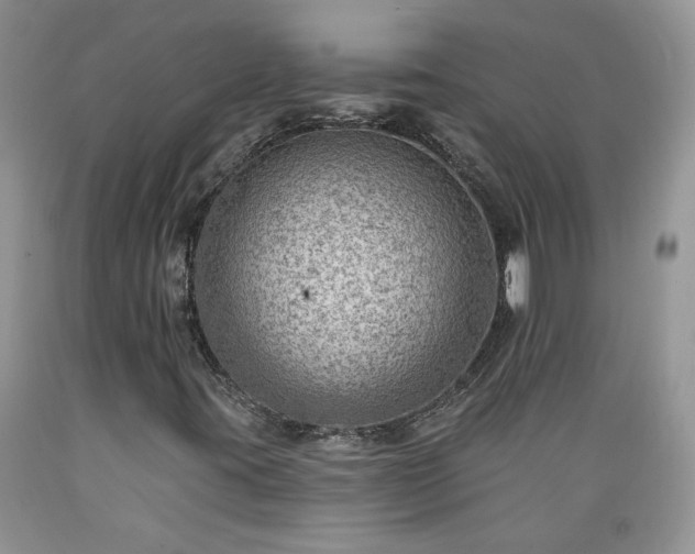 X0000089381395200706221243