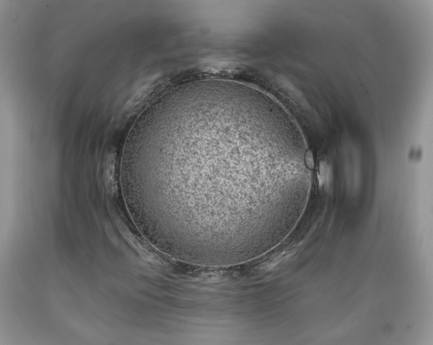 X0000089381396200706221243