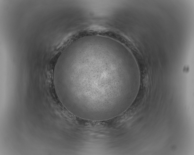 X0000089381397200706221243