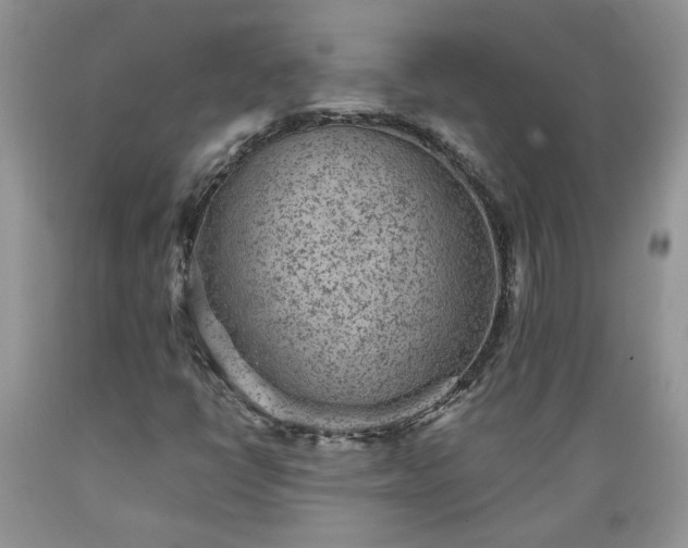 X0000089381398200706221243
