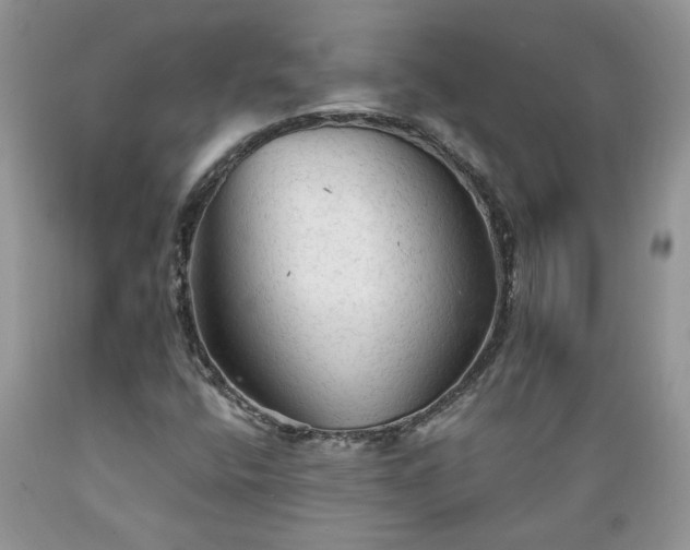 X0000089381400200706221243