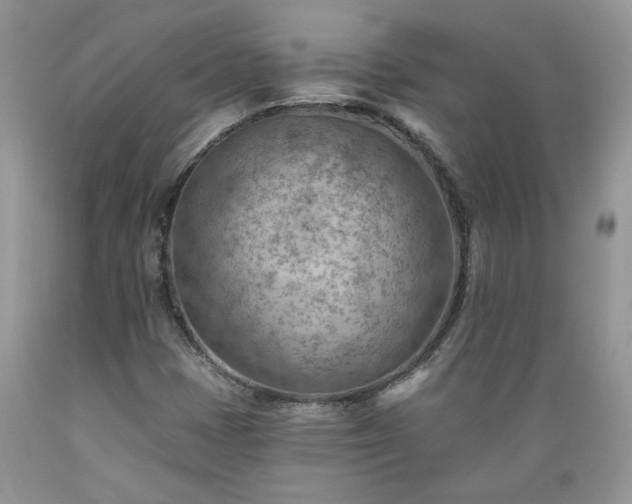 X0000089381401200706221243