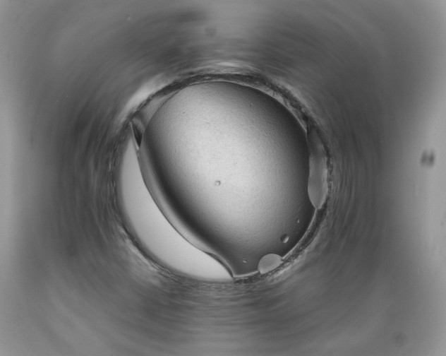 X0000089381402200706221243