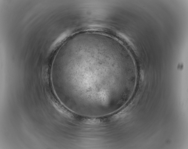 X0000089381403200706221243