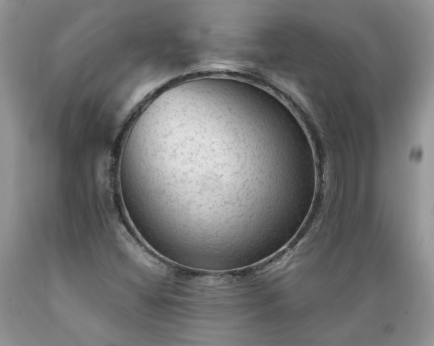 X0000089381404200706221243