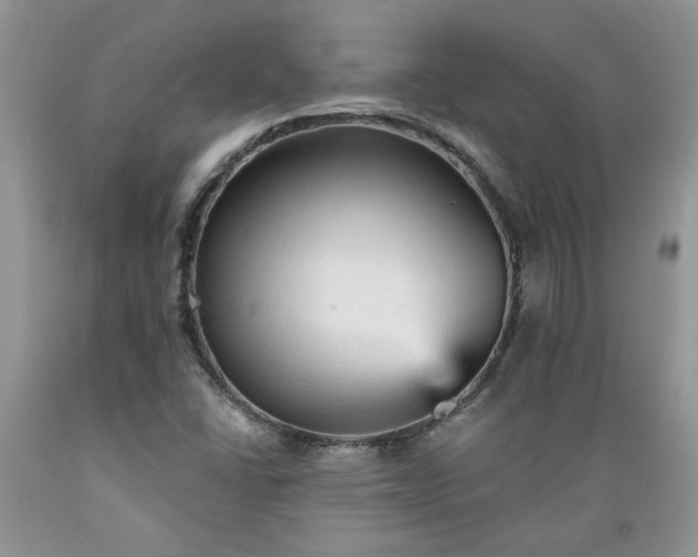 X0000089381406200706221243