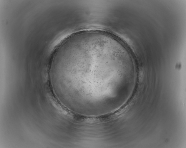 X0000089381407200706221243