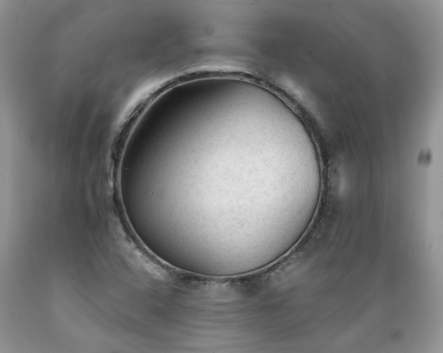X0000089381408200706221243