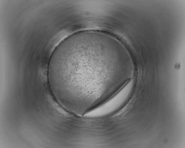 X0000089381409200706221243