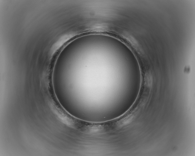 X0000089381410200706221243