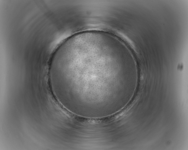 X0000089381411200706221243