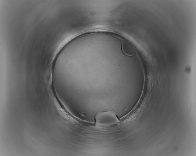 X0000089381413200706221243