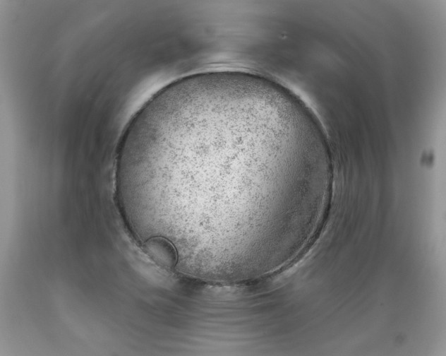 X0000089381415200706221243