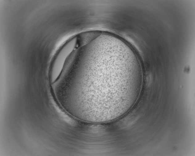 X0000089381416200706221243