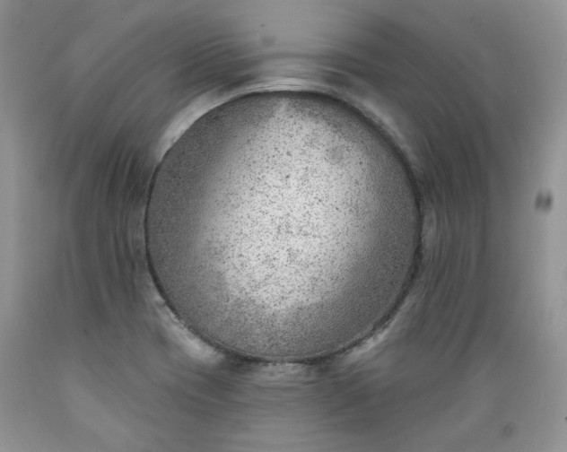 X0000089381417200706221243