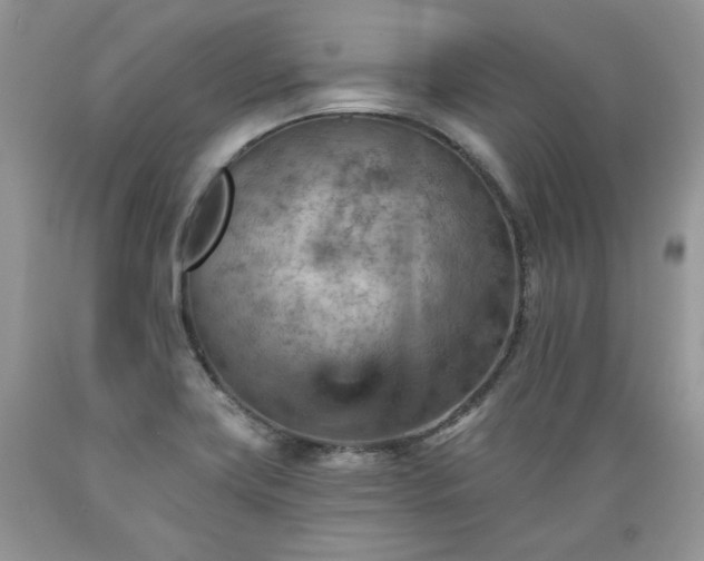 X0000089381419200706221243