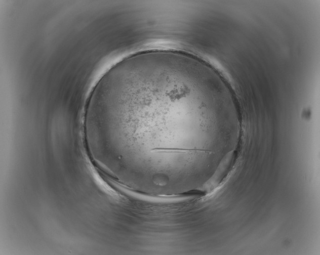 X0000089381421200706221243