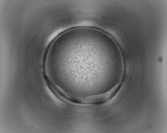 X0000089381422200706221243
