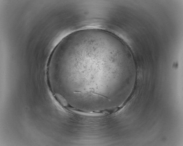 X0000089381423200706221243