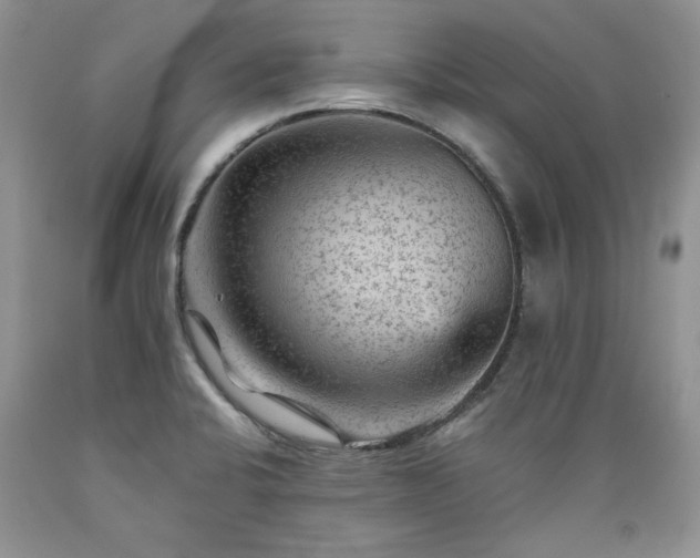 X0000089381424200706221243