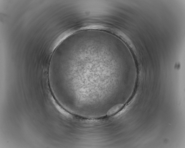 X0000089381425200706221243