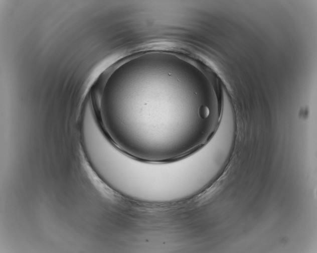 X0000089381426200706221243