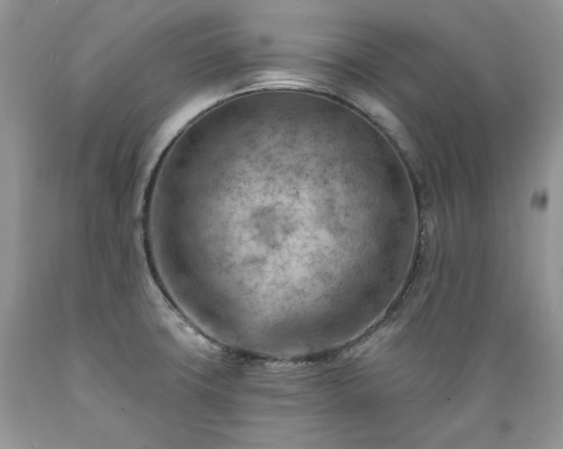 X0000089381427200706221243