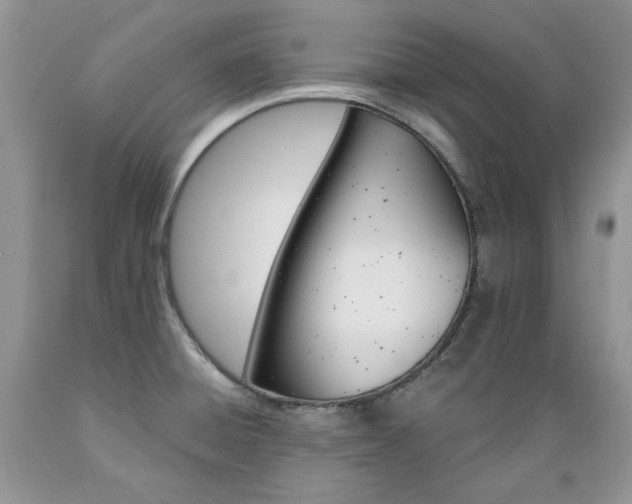 X0000089381428200706221243