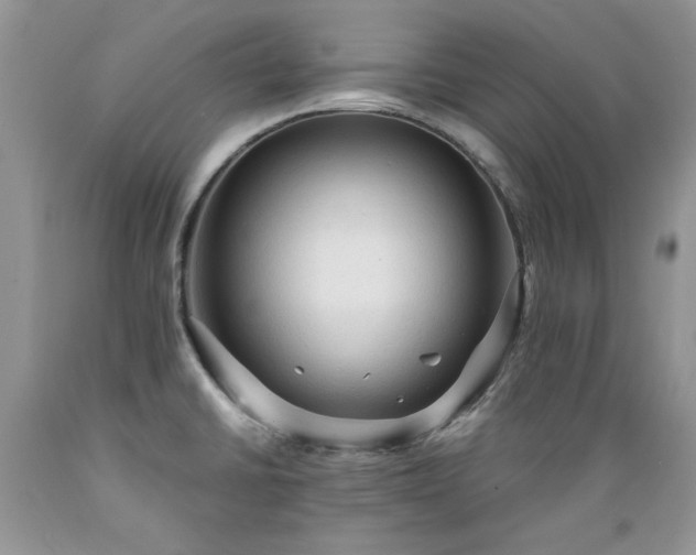 X0000089381430200706221243