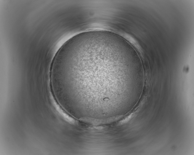X0000089381431200706221243