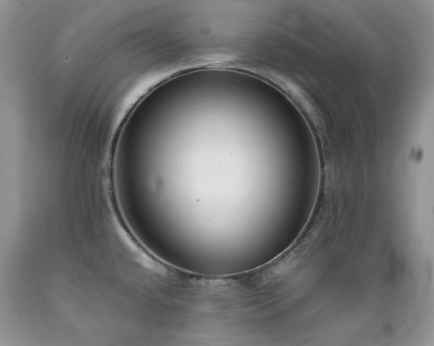 X0000089381432200706221243