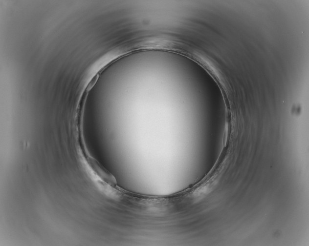 X0000089381434200706221243