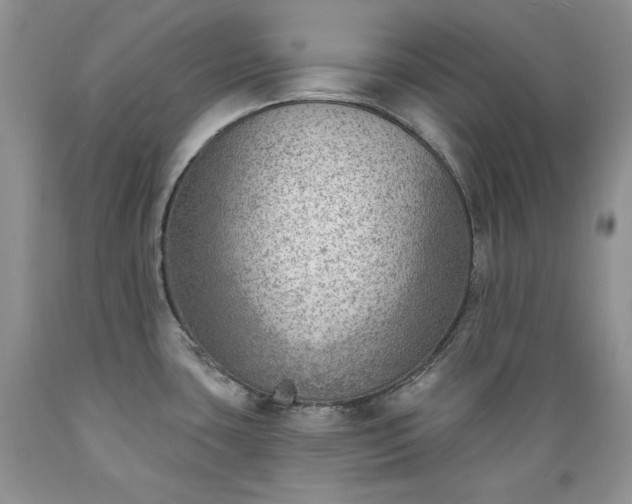X0000089381435200706221243