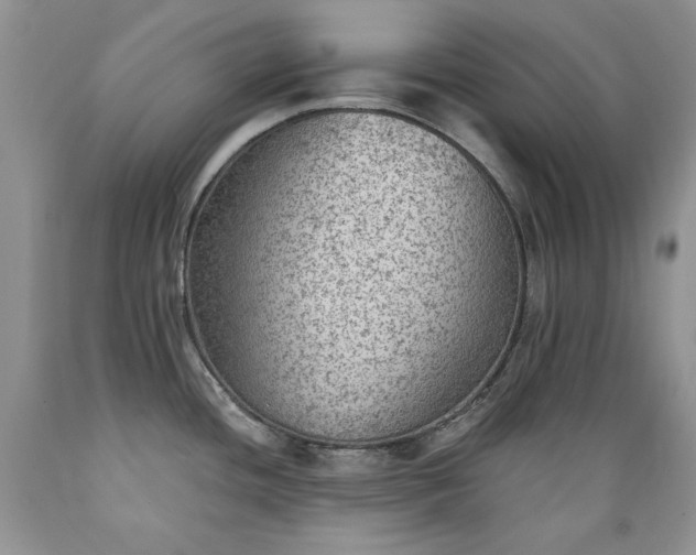 X0000089381436200706221243