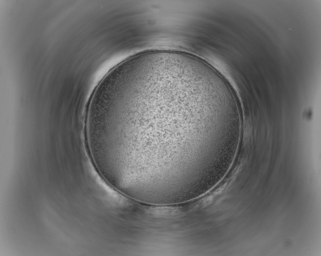 X0000089381437200706221243