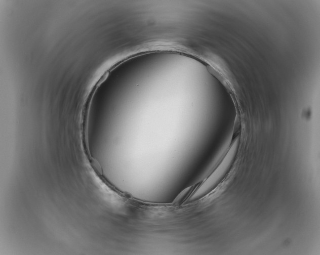 X0000089381438200706221243