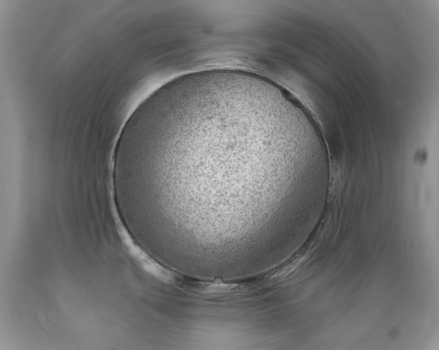 X0000089381439200706221243