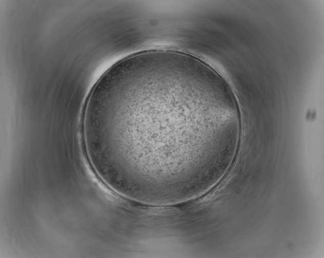 X0000089381440200706221243