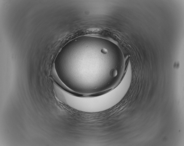 X0000089381441200706221243
