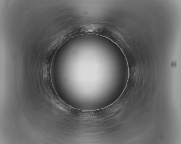 X0000089381442200706221243