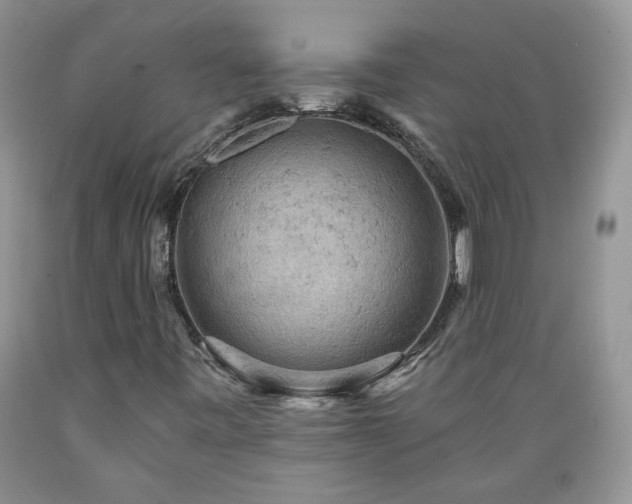 X0000089381443200706221243