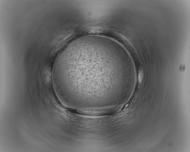X0000089381444200706221243