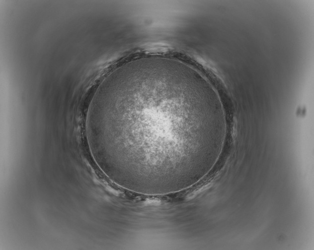 X0000089381445200706221243