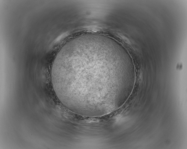 X0000089381446200706221243