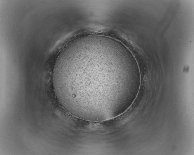 X0000089381447200706221243