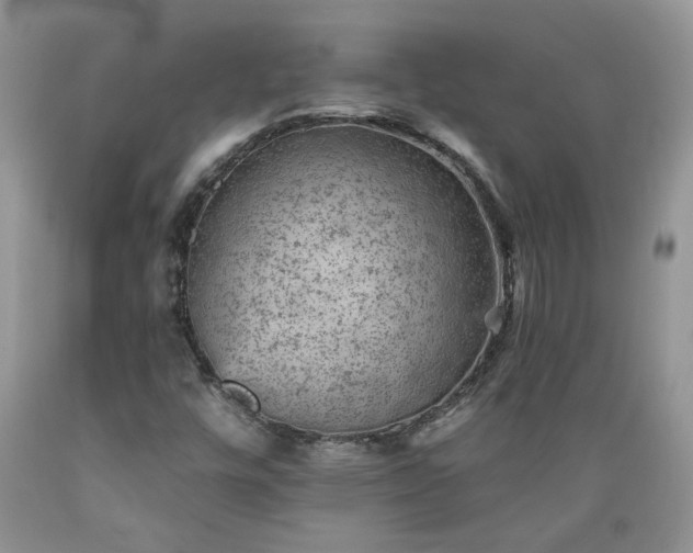 X0000089381448200706221243